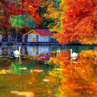 Malý domček u jazera