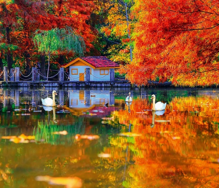 Puzzle - King - Malý domek u jezera