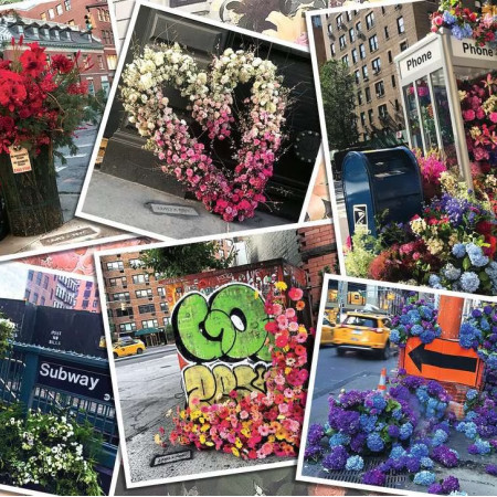Kvety v New Yorku