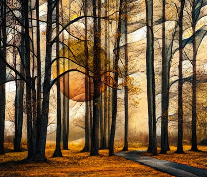 Puzzle - Schmidt - Magický les