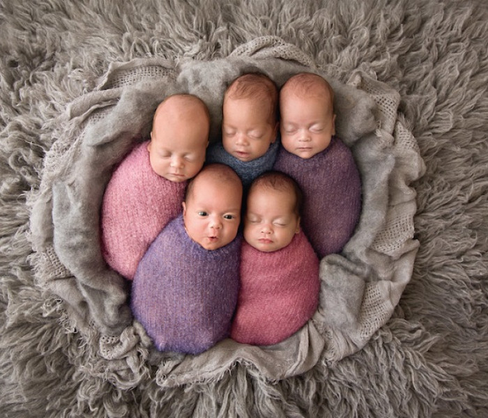 Puzzle - Schmidt - Pět v klubíčku