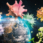 Puzzle - Schmidt - Planéta Zem 2020