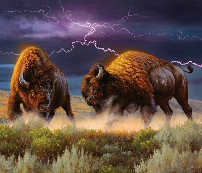 Puzzle - Sunsout - Bizóny