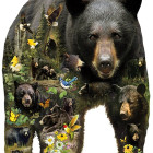 Puzzle - Sunsout - Urși