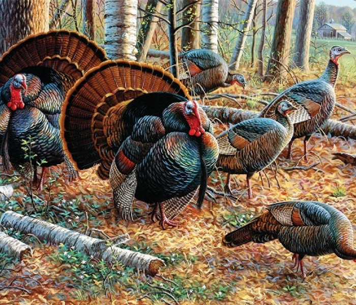 Puzzle - Sunsout - Moriaky