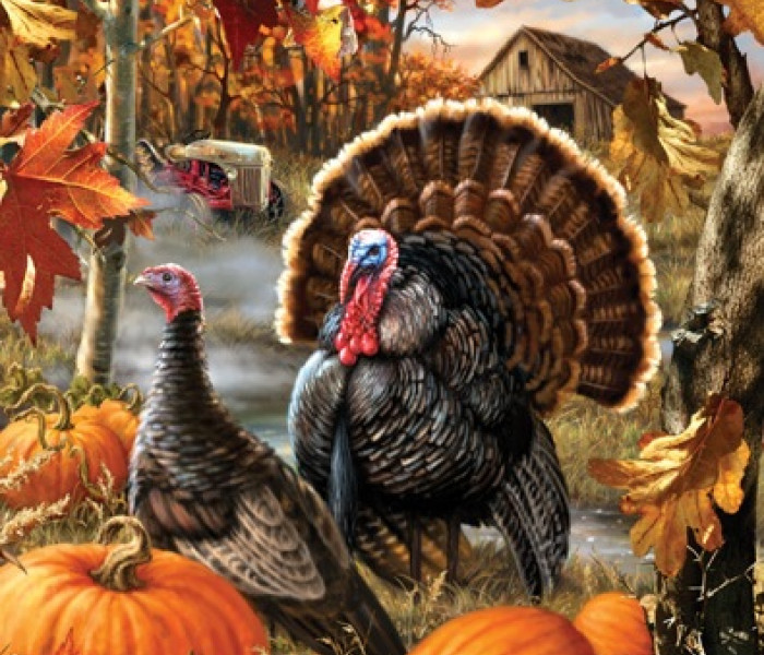 Puzzle - Sunsout - Morky na jeseň