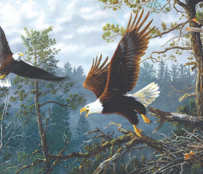 Puzzle - Sunsout - Orlie hniezdo