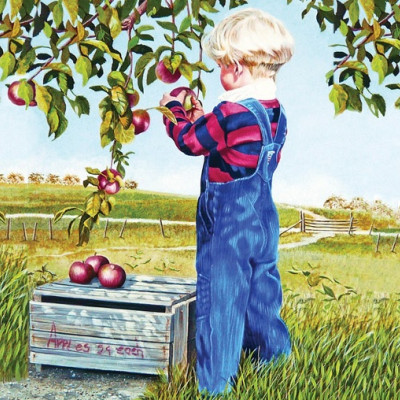 Az alma szüretelése