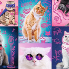 Puzzle - Trefl - Super mačky