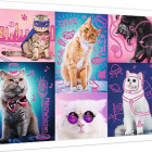 Puzzle - Trefl - Super mačky