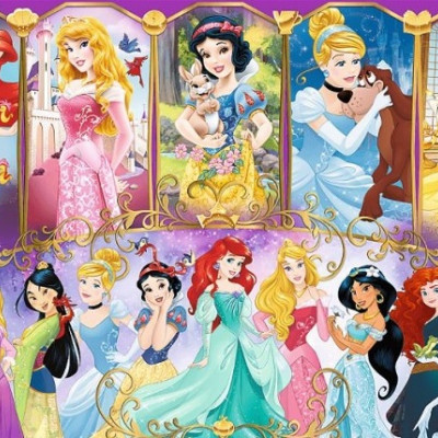 Úžasný svet princezien 