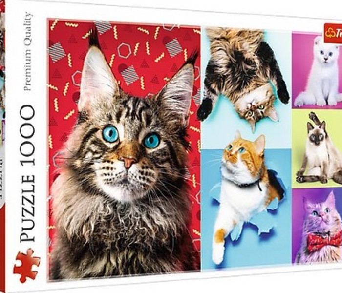 Puzzle - Trefl - Veselé mačky