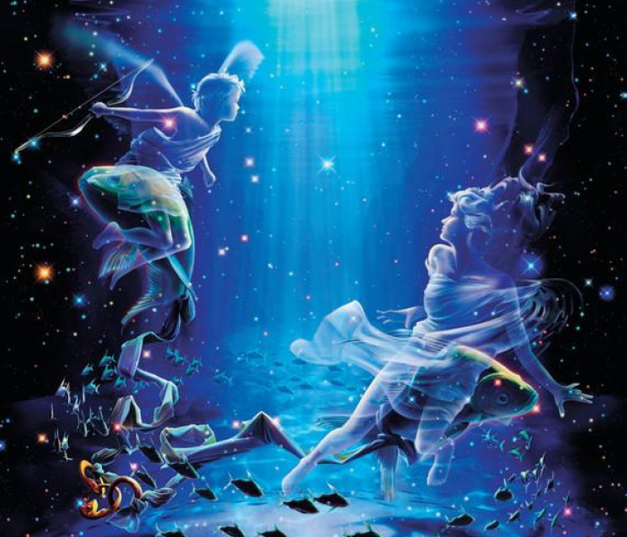 Puzzle - Zdeko - Ryby