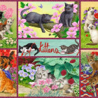 Puzzle - Falcon - Hravé mačiatka