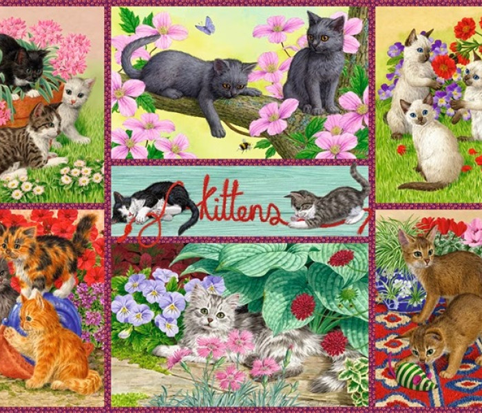 Puzzle - Falcon - Hravé mačiatka